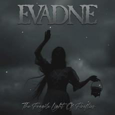 The Fragile Light of Fireflies mp3 Album by Evadne