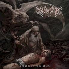 Deranged Excruciations mp3 Album by Metaphobic