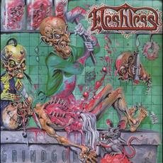 Grindgod mp3 Album by Fleshless