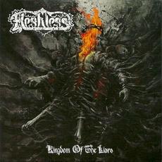 Kingdom of the Liars mp3 Album by Fleshless