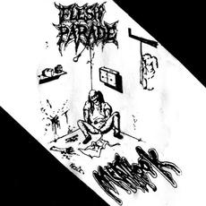 Meathook mp3 Album by Flesh Parade