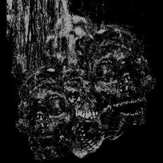 Permanence mp3 Album by Vermin Womb