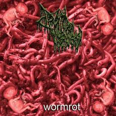 Wormrot mp3 Album by Drain of Impurity