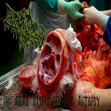 Head Disfigurement Autopsy mp3 Album by Drain of Impurity