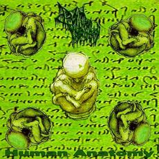 Human Anatomy mp3 Album by Drain of Impurity