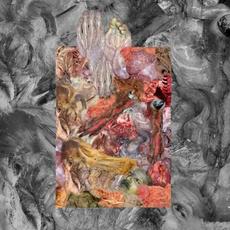 The Stench of Organs and Purulence Rapidly Decomposing mp3 Album by Lipoma