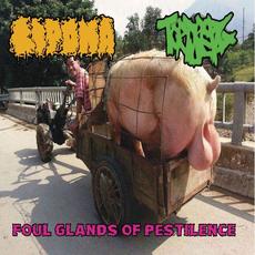 Foul Glands Of Pestilence mp3 Album by Lipoma