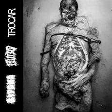 Dissertations mp3 Album by Lipoma