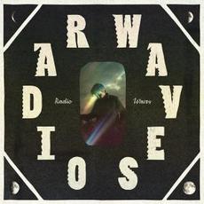 Radio Waves mp3 Album by The Bones of J.R. Jones