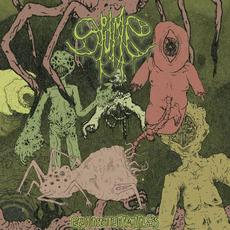 Pseudo-Insectoid Metamorphosis mp3 Album by Spume