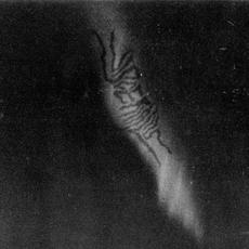 Viscerialis mp3 Album by Viscerialis