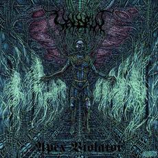 Apex Violator mp3 Album by Valdrin