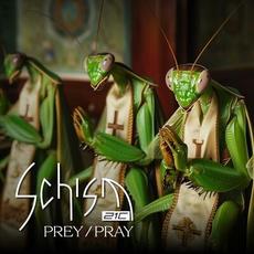 Prey / Pray (Radio Edit) mp3 Single by Schism 21C