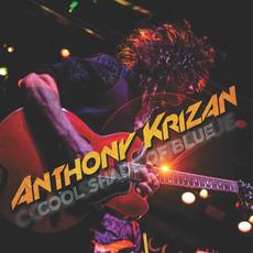 Cool Shade of Blue mp3 Album by Anthony Krizan