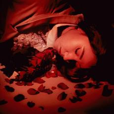 How Did We Fall So Far? mp3 Album by Coming Up Roses