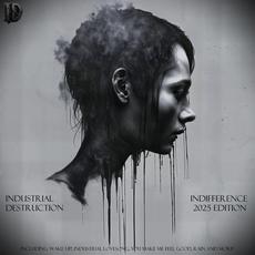 InDifference (Deluxe Edition) mp3 Album by Industrial Destruction