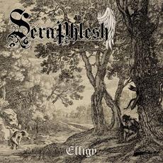 Effigy mp3 Album by Seraphlesh