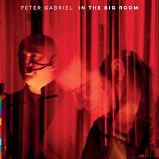 In The Big Room mp3 Live by Peter Gabriel