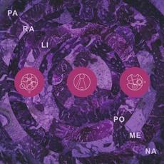 Paralipomena mp3 Album by Pillars of Cacophony