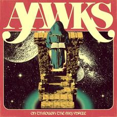 On Through the Sky Maze mp3 Album by AAWKS