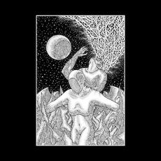 Hail the Void mp3 Album by Hail The Void