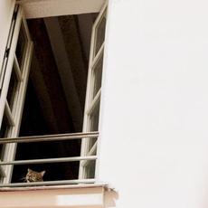 Something Soft mp3 Album by M(h)aol