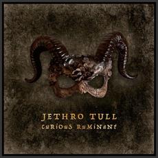 Curious Ruminant (Deluxe Edition) mp3 Album by Jethro Tull