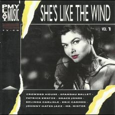 Play My Music, Vol 1: She's Like The Wind mp3 Compilation by Various Artists