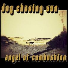 Angel of Combustion mp3 Album by Dog Chasing Sun