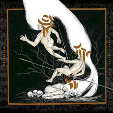 Death·Chaos·Void mp3 Album by Akouphenom