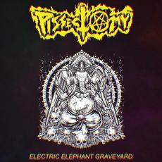 Electric Elephant Graveyard mp3 Album by Pissectomy