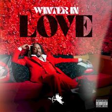 Winter In Love mp3 Album by Raheem DeVaughn