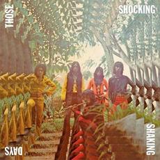 Those Shocking Shaking Days: Indonesian Hard, Psychedelic, Progressive Rock and Funk 1970-1978 mp3 Compilation by Various Artists