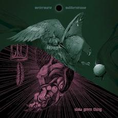 Wetterwarte / Waltherstrasse mp3 Album by Slow Green Thing