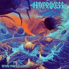Beyond What Eyes Can See mp3 Album by Haxprocess