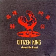 Count the Days mp3 Album by Citizen King