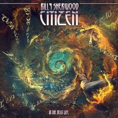 Citizen: In the Next Life mp3 Album by Billy Sherwood