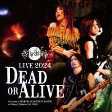 Live 2024 -Dead Or Alive- mp3 Live by Mardelas