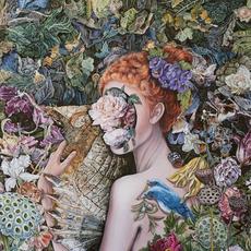 Impulse To Soar mp3 Album by Calyces