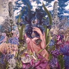 Fleshy Waves of Probability mp3 Album by Calyces