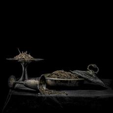 All We Have Is Never mp3 Album by Holy Scum