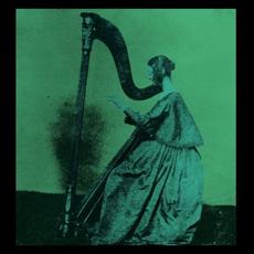 Grapes Upon the Vine mp3 Album by TV Girl