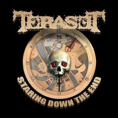 Staring Down the End mp3 Album by Teraset