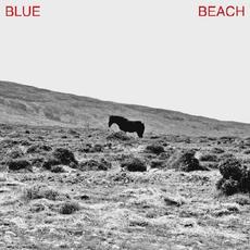 Blue Beach mp3 Album by Josh Vine