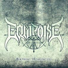 Birthing Homunculi mp3 Album by Equipoise