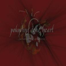 ...persevere...persevere... mp3 Album by Pounding Dead Heart