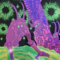 Abomination Revealed At Last mp3 Album by Osees