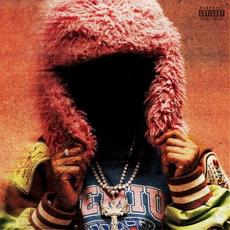 KAASHMYCHECKS mp3 Album by Kaash Paige