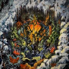 Mossbane Lantern mp3 Album by Sallow Moth