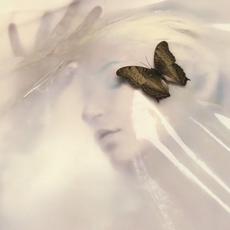 Speak Like the Dead mp3 Album by Return to Dust